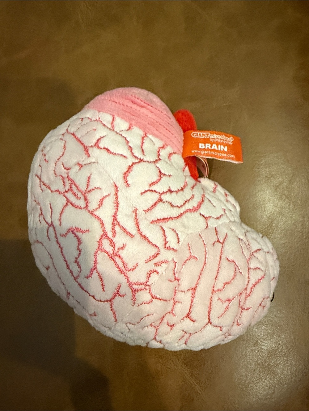 Plush Brain Stuffed Toy - Pink and White